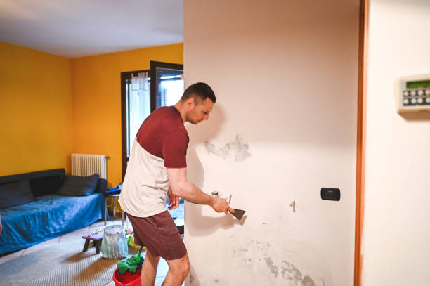 Best Residential Mold Removal  in Aviston, IL